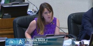 Senadora ena von Baer _2