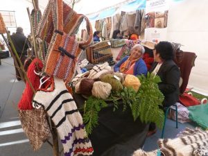 Emprendimiento Mapuche (1)
