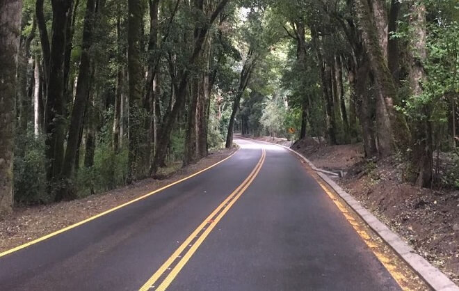El tramo del Bosque Quillín aporta a la belleza escénica de la Ruta Puerto Nuevo-Quillaico.