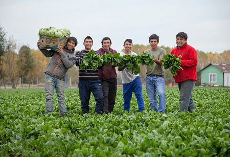 Emprendedores indígenas de la Macro Región Central viajan junto a la DAES y CONADI a conocer experiencias cooperativas exitosas en La Araucanía item-thumbnail
