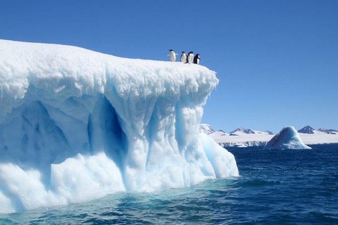 Última semana de EXPO “Antártica: Maravilla de Biodiversidad” en el Centro Cultural El Austral