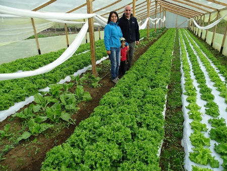 Diversos emprendimientos en la comuna de Panguipulli visitó el director regional de INDAP