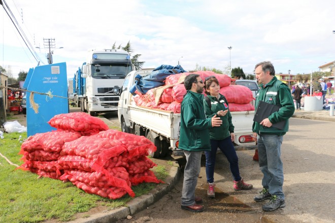 SAG retuvo más de dos toneladas de papa en Valdivia