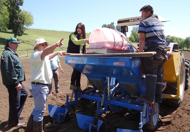 Ministerio de Agricultura instala semilleros grupales de papas en Región de los Ríos