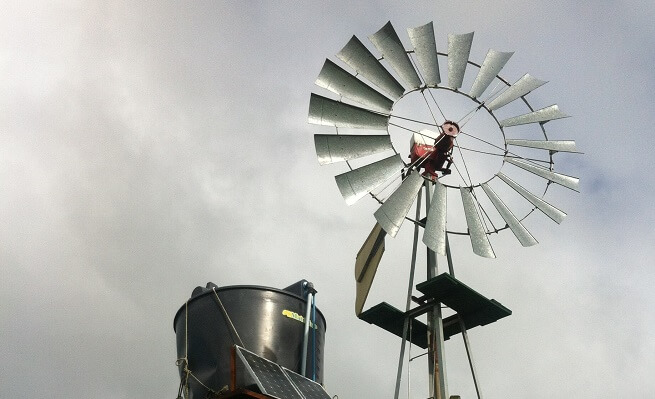 Emprendedor ganadero de La Unión instaló paneles solares para solucionar problemas energéticos