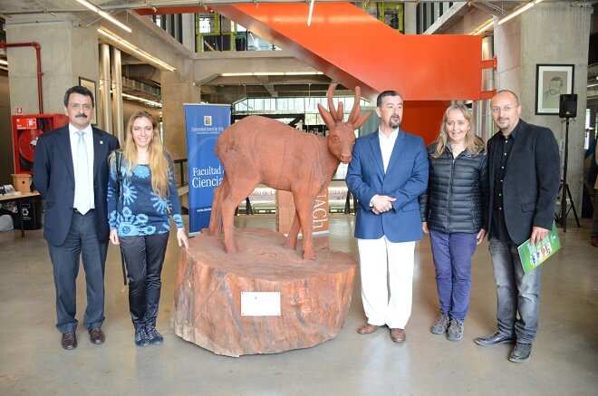 Fundación Huilo Huilo donó escultura de huemul a escala natural a la Universidad Austral de Chile