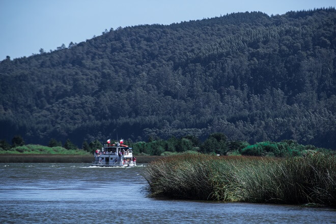 Viaje a Punucapa: vive la conexión con la naturaleza a través de los mágicos ríos de Valdivia