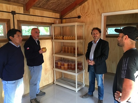 Director de INDAP visita proyectos de inversión para el desarrollo apícola en Los Ríos