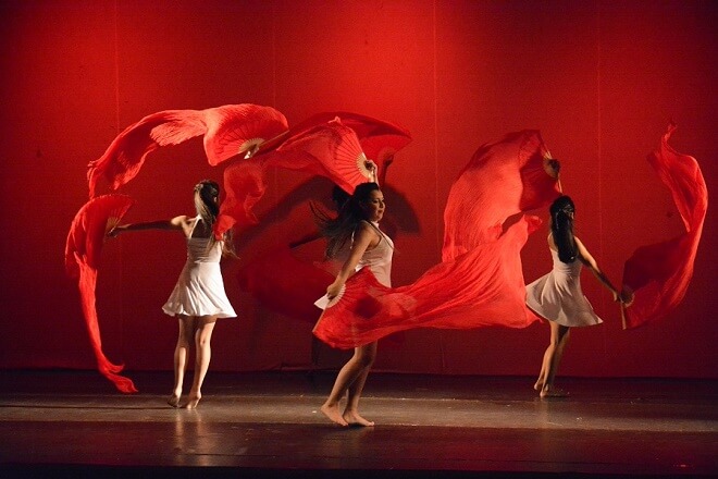 Destacan gran participación de público en actividades del Mes de la Danza en Valdivia