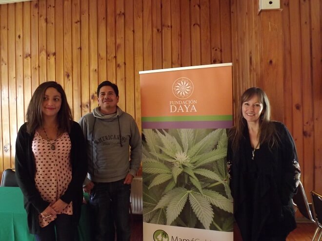 Ana María Gazmuri, directora de la Fundación Daya: “Chile es percibido como un líder en cannabis medicinal”