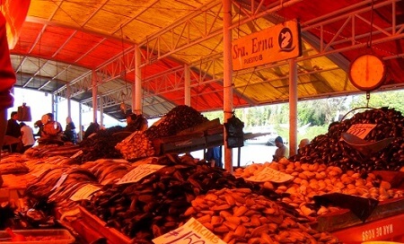 Autoridad sanitaria prohibió venta de ceviche en mal estado en la feria fluvial de Valdivia