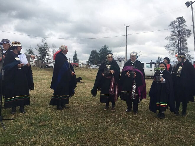 Lanzan en La Unión proyecto de conciencia ambiental mediante recuperación de especies nativas y cosmovisión mapuche 