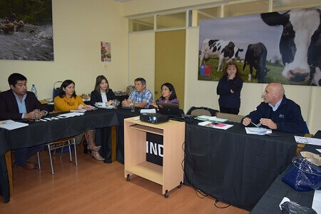 En Valdivia sesionó Consejo Directivo Regional por convenio INDAP – PRODEMU