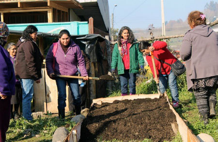 Programa Huerta Mapuche del Parlamento de Koz Koz en Panguipulli: encausando el trabajo para el nuevo ciclo en Wiñol txipantü