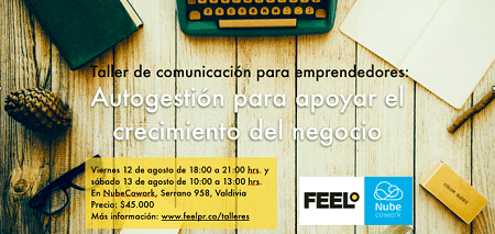 Dictan Taller de Comunicación para Emprendedores en Valdivia