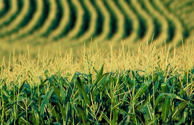 Berger propone crear plantas desalinizadoras para enfrentar déficit de agua