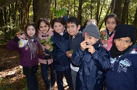Niños de Neltume, Puerto Fuy y Choshuenco aprenden sobre Flora Nativa gracias a un Fondo de Protección Ambiental