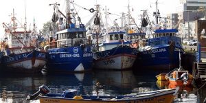 barcos-pesqueros-talcahuano