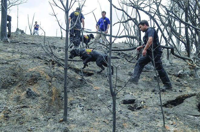 PDI Los Ríos entregó recomendaciones para evitar incendios forestales