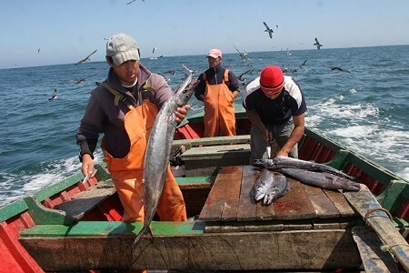 Pescadores participan con fundación en nueva etapa productiva