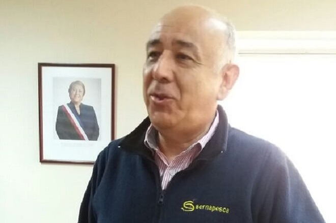 Rodrigo Valencia, director regional Sernapesca: “He atendido a todas las empresas regionales y todas han podido exportar sin inconvenientes”