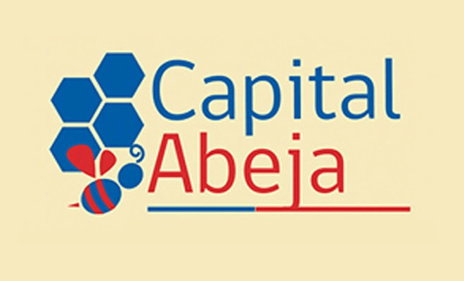 Fomento Los Ríos abrió su programa Capital Abeja Emprende