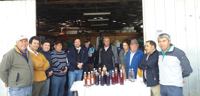 Emprendedores de Cayucupil conocen exitosos productores de vinagre de manzana de La Araucanía