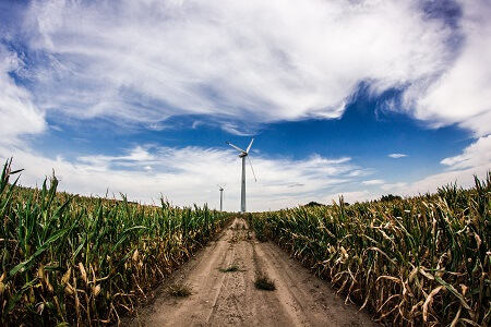 Abierta convocatoria Estudios de Factibilidad para la Evaluación de Medidas de Eficiencia Energética y ERNC en el Sector Agroalimentario