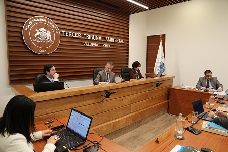 Tribunal Ambiental de Valdivia acogió reclamación de comunidad indígena contra la calificación favorable del proyecto “Central Hidroeléctrica Doña Alicia”
