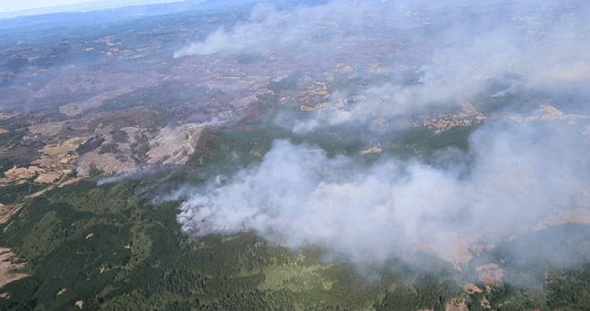 Corma estima pérdidas de 40 millones de dólares para el sector forestal por incendios en regiones del Maule y Biobío