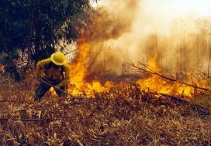Vecinos de San Pedro de la Paz reciben capacitación para enfrentar incendios forestales