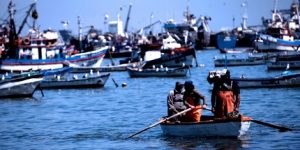  Incertidumbre por proyecto de Ley de Pesca manifestaron parlamentarios del Biobío en reunión con gobernador