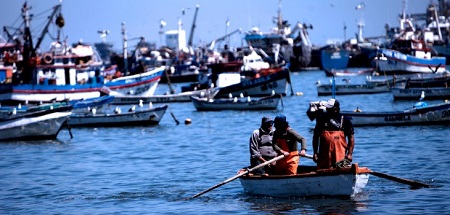 Capitanes de naves industriales de la Region del Biobío denuncian agresividad de pescadores artesanales