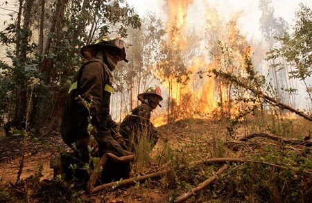 Situación de incendios forestales en la  Región del Biobío a las 17:30 horas