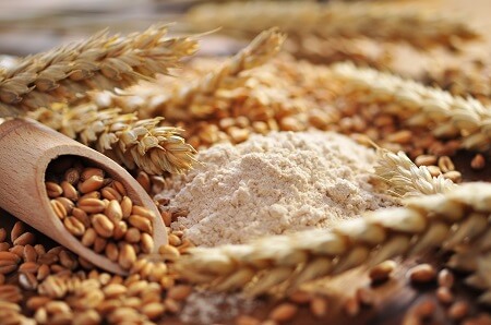  Molienda de trigo de la Región del Biobío aportó el 14,6% de la producción del país durante diciembre 2016 