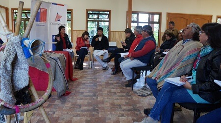 Comunidades indígenas de Río Bueno reciben apoyo del Gobierno de Chile