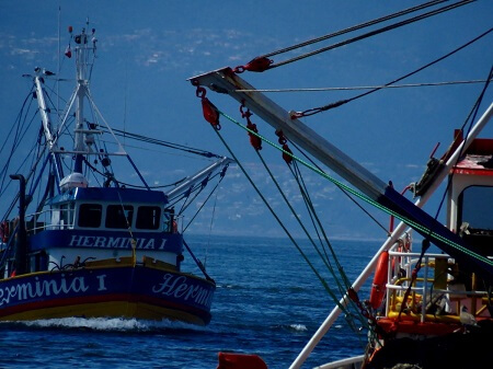 En Castro se realizó reunión por modificación de Ley “larga” de Pesca