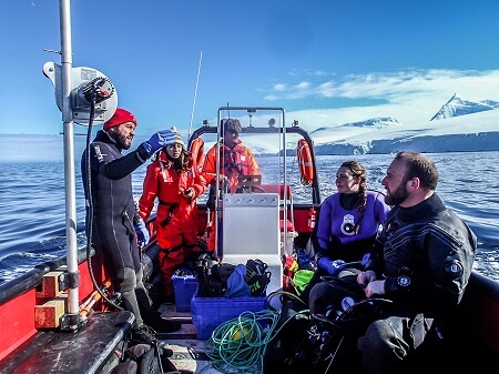 Con desconocidos datos de biodiversidad submarina finaliza segunda campaña de estudio de las esponjas antárticas