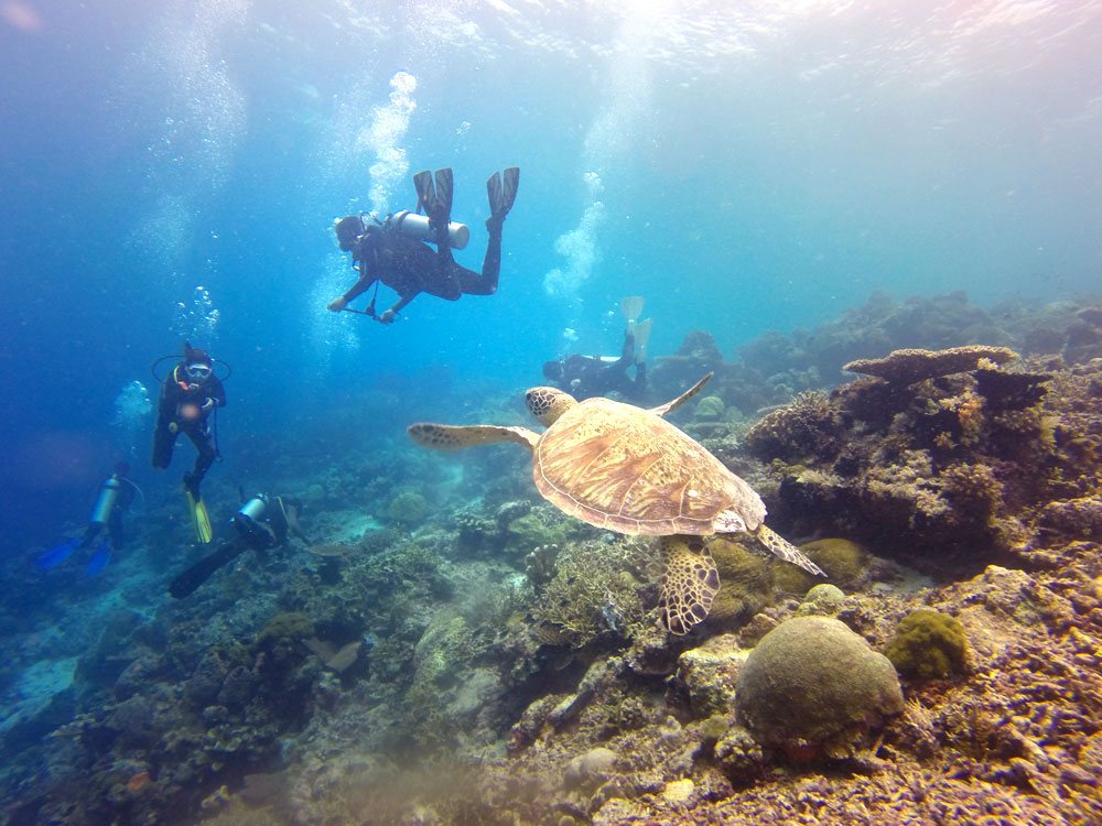 Great Barrier Reef to catch it before it’s gone