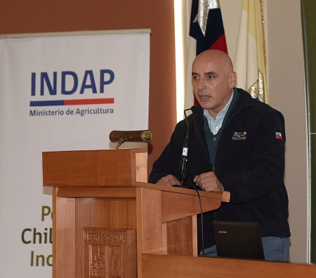 ​INDAP aclara situación de funcionarios del Programa de Desarrollo Territorial Indígena