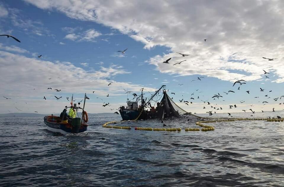 Capitanes de pesca rechazan incorporación de extranjeros a flota nacional: “Generaría ventajas de remuneración antisindical”
