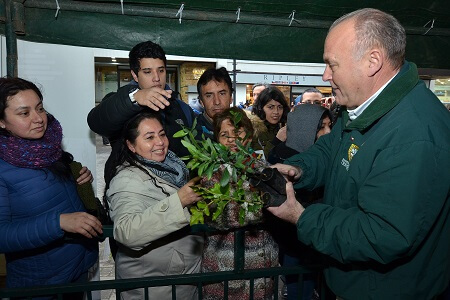 Municipalidad de Temuco y corma entregaron 5 mil árboles nativos a la comunidad