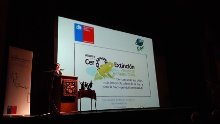 Con anuncios y reconocimientos, Seremi de medio ambiente celebró el “Día Mundial del Medio Ambiente” en Los Ríos
