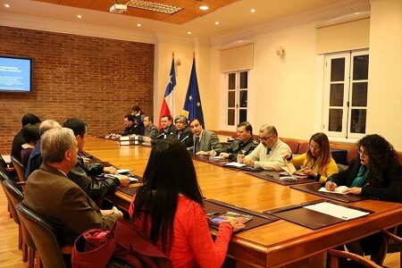Comité Ambiental Antártico presidido por el Ministerio del Medio Ambiente se reunió en Punta Arenas