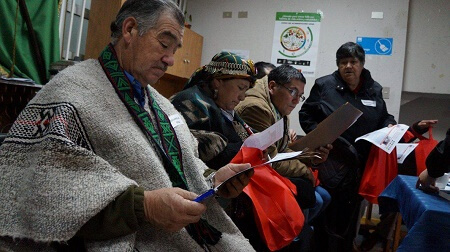Confirman fechas de encuentros para Consulta Indígena del Proceso Constituyente de pueblos originarios en Los Ríos