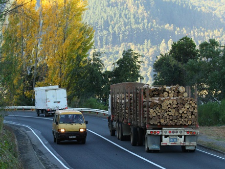 Claudio Eguiluz pide “restringir paso de camiones con acoplado por Ruta de la Madera”