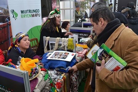 Lo mejor del turismo mapuche presente en el centro de Temuco