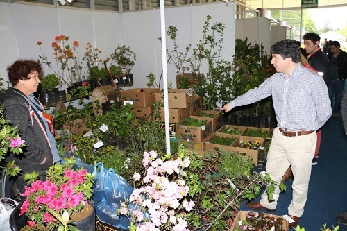 Este sábado continúa la XV versión de la Expo Primavera en Parque Saval