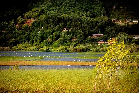 Lago Lanalhue es oficialmente declarado como Zona de Interés Turístico