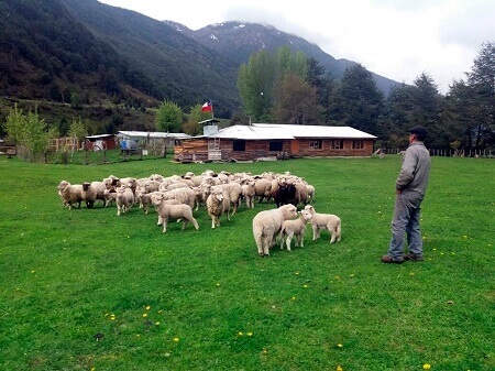 Con 24 emprendimientos INDAP Aysén difunde 33ª versión de la bitacora de turismo rural